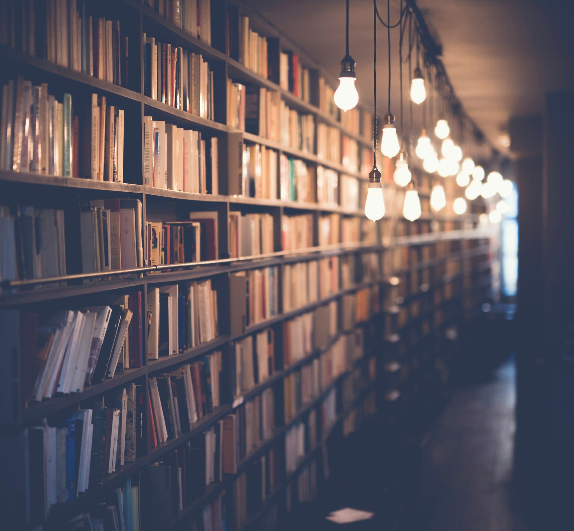 Person reading a book in a cozy setting
